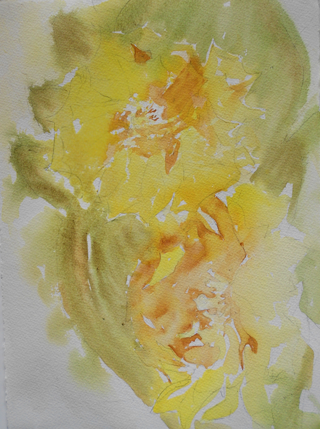 1080x1449 Watercolor Painting Start To Finish Paint With Me