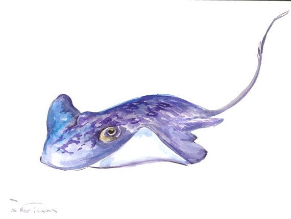 570x430 Stingray, Original Watercolor Painting, 12 X 9 In, Sea Animal Art