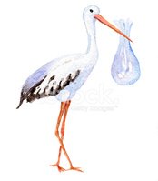 174x199 Stork Holding Baby In Bag (Watercolor) Stock Vectors