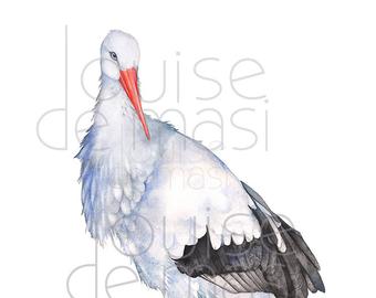 340x270 Stork Watercolor Etsy