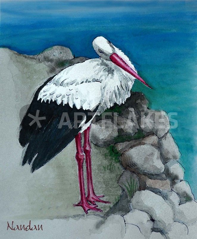 662x800 White Stork Painting Art Prints And Posters By Nandan Nagwekar