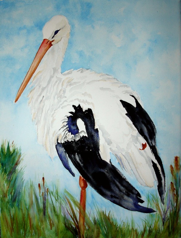 608x800 White Stork Standing Original Watercolor Painting