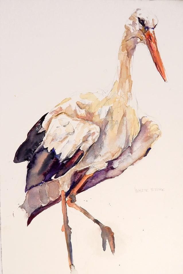 638x953 White Stork Watercolor 12x24 Httpift.tt2xabopu Art