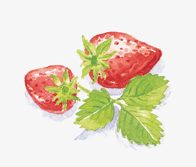 650x556 Watercolor Hand Painted Strawberry, Watercolor Clipart, Strawberry