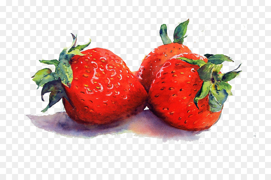 900x600 Watercolor Still Life Tulips In A Vase Watercolor Painting