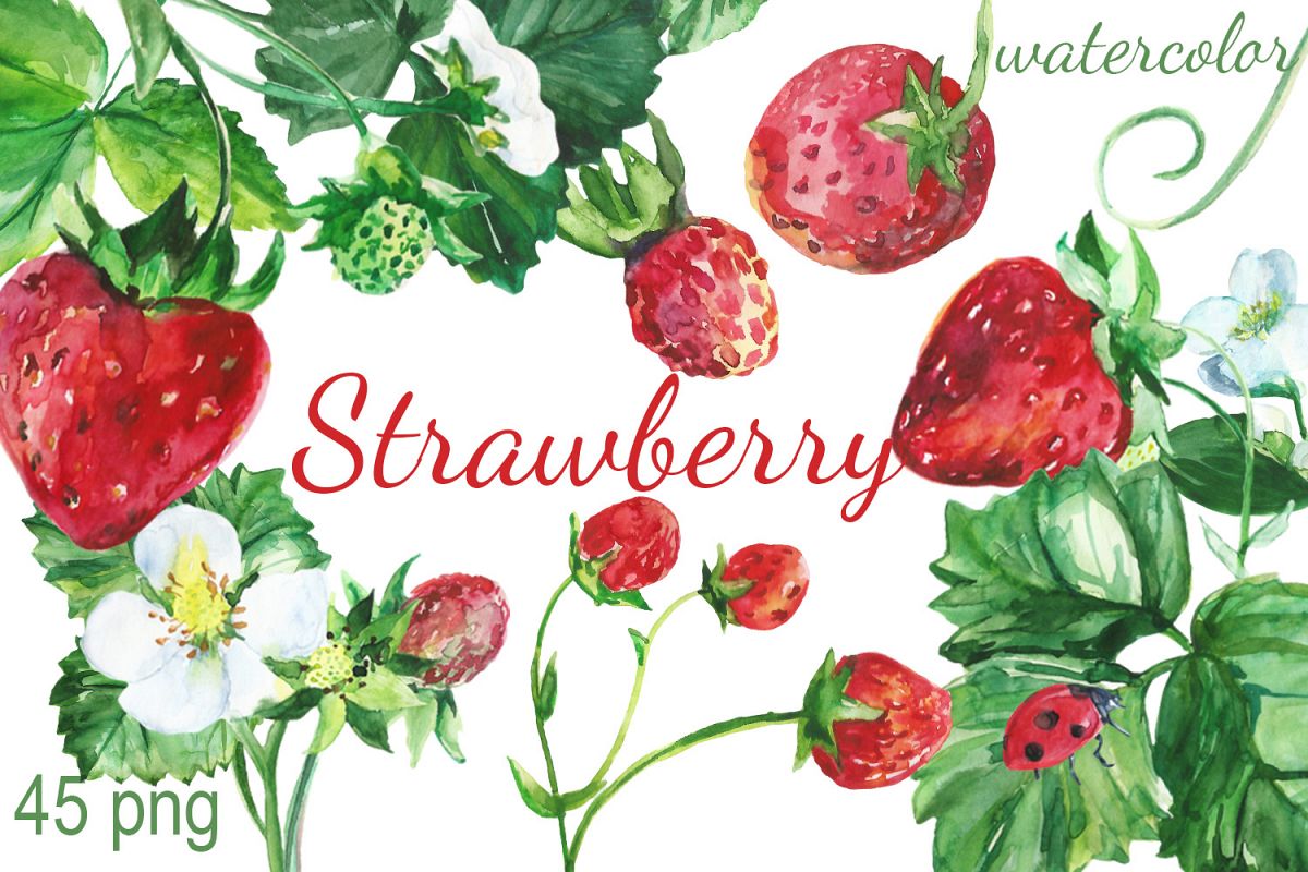 1200x800 Watercolor Strawberry Clip Art