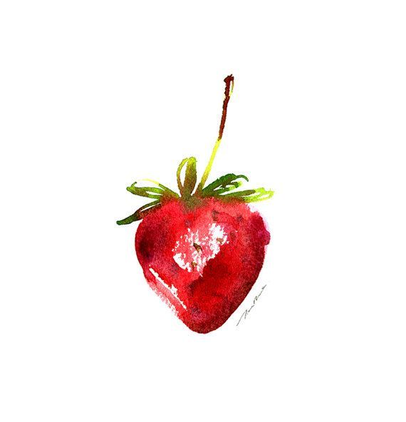 570x592 Strawberry Watercolour