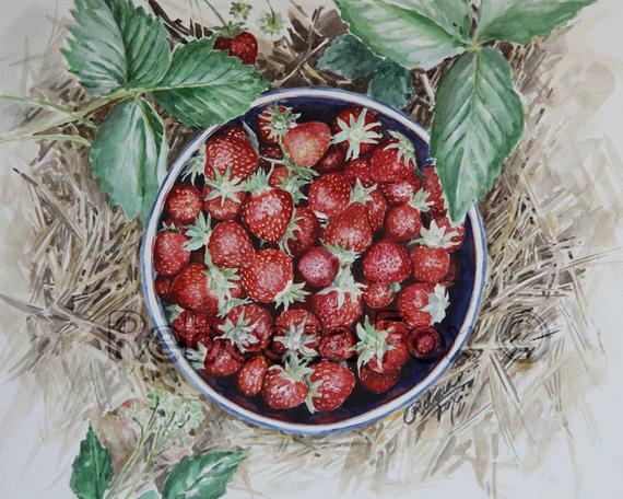 570x456 Original Strawberry Watercolor Painting Strawberry Art 9x12 Etsy