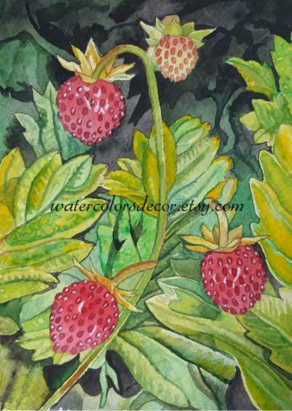 570x802 Original Wild Strawberries Watercolor Painting 5x7 Fruit Etsy