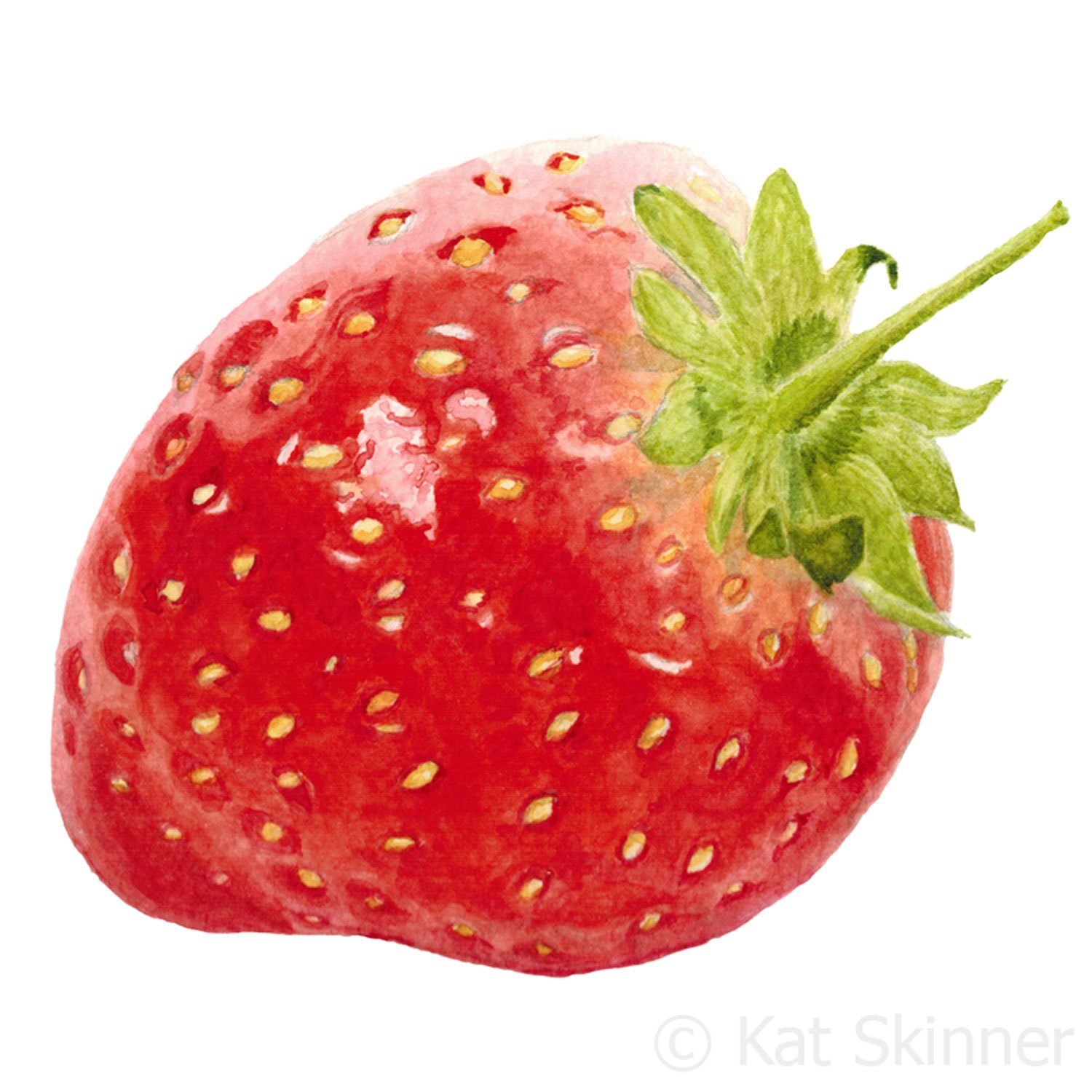 1500x1500 The Strawberry Kat Skinner