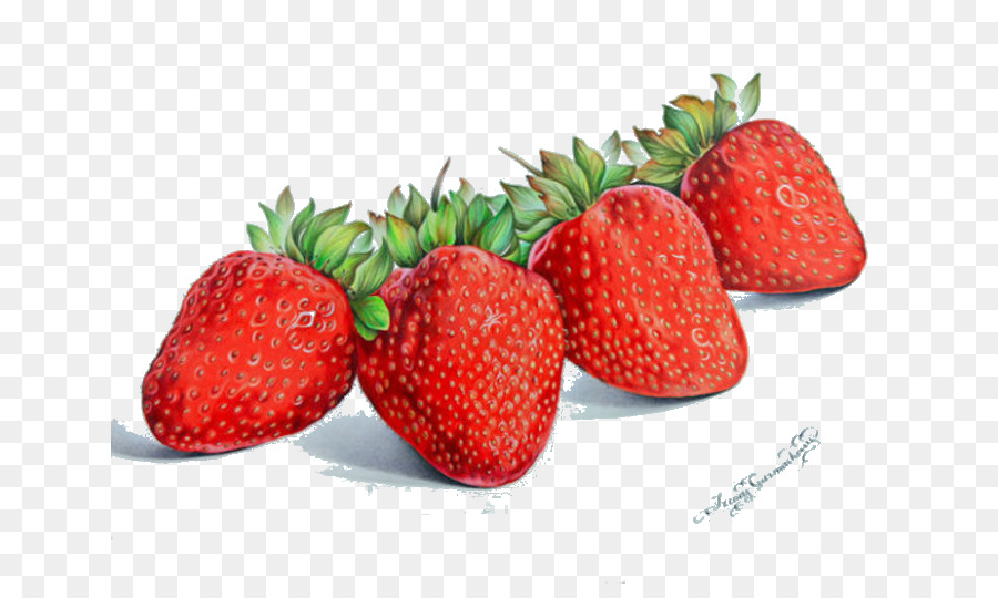 900x540 Colored Pencil Drawing Still Life Watercolor Painting Aedmaasikas