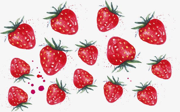 591x367 Drawing Strawberries, Strawberry, Watercolor, Hand Painted Png And
