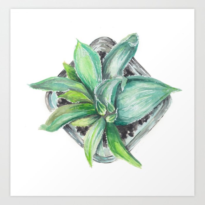 700x700 Succulent Watercolor Painting Art Print By Andaleem Society6