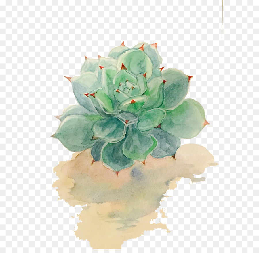 900x880 Succulent Plant Watercolor Painting Drawing