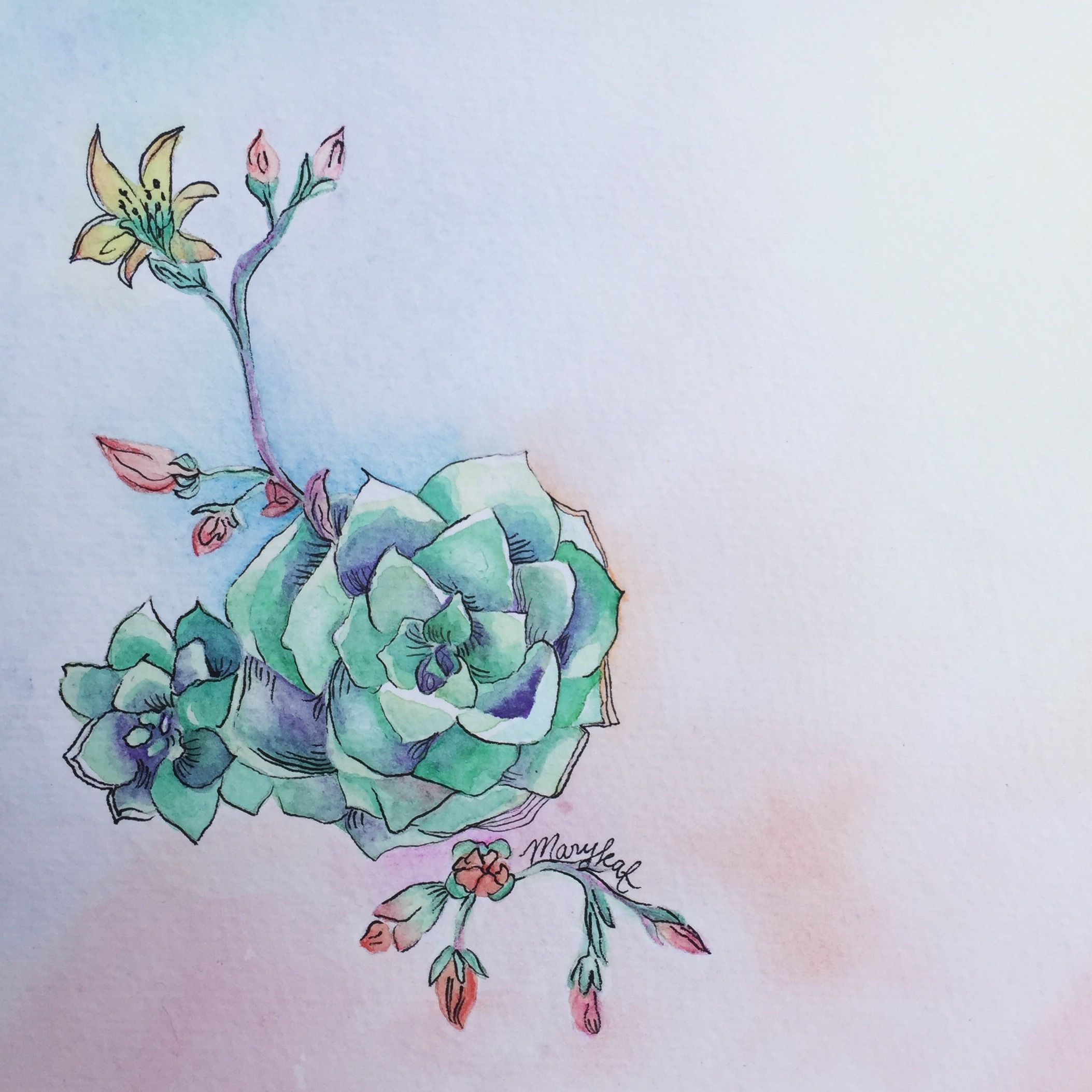 2107x2107 Succulent Watercolor By Little Atlas Creations Watercolors