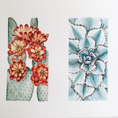 498x498 Cactus Amp Succulent Watercolor Painting