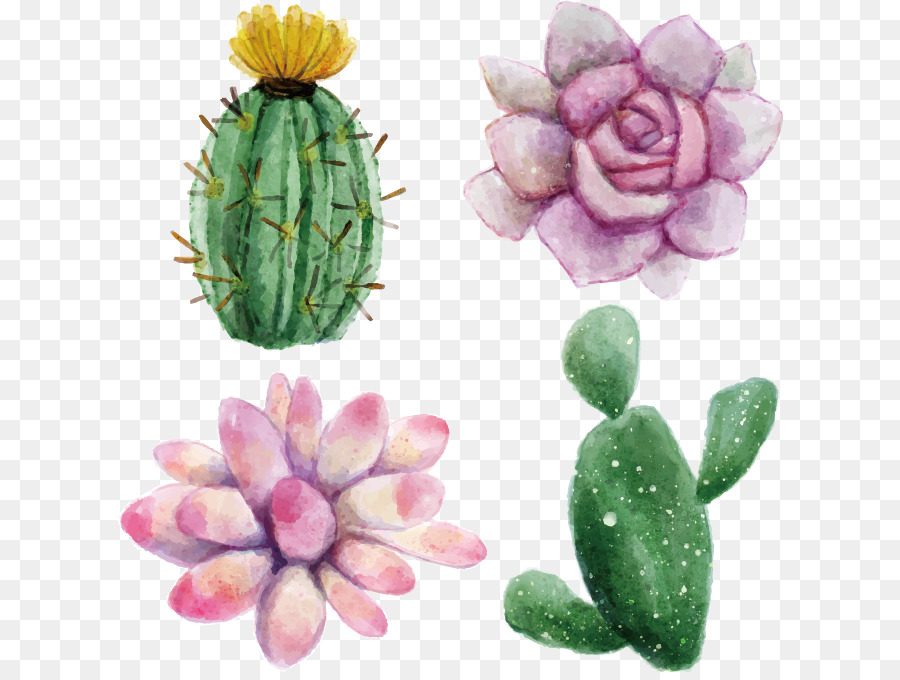 900x680 Download Cactaceae Watercolor Painting Succulent Plant Eucl
