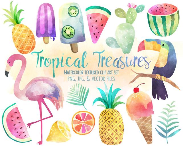 642x514 Tropical Clip Art Watercolor Summer Clipart Set Vector Etsy