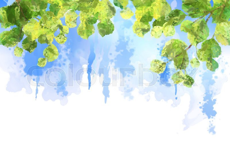 800x525 Green Leaves, Tree Branches, Vector Watercolor Summer Background
