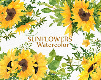340x270 Sunflower Watercolor Etsy