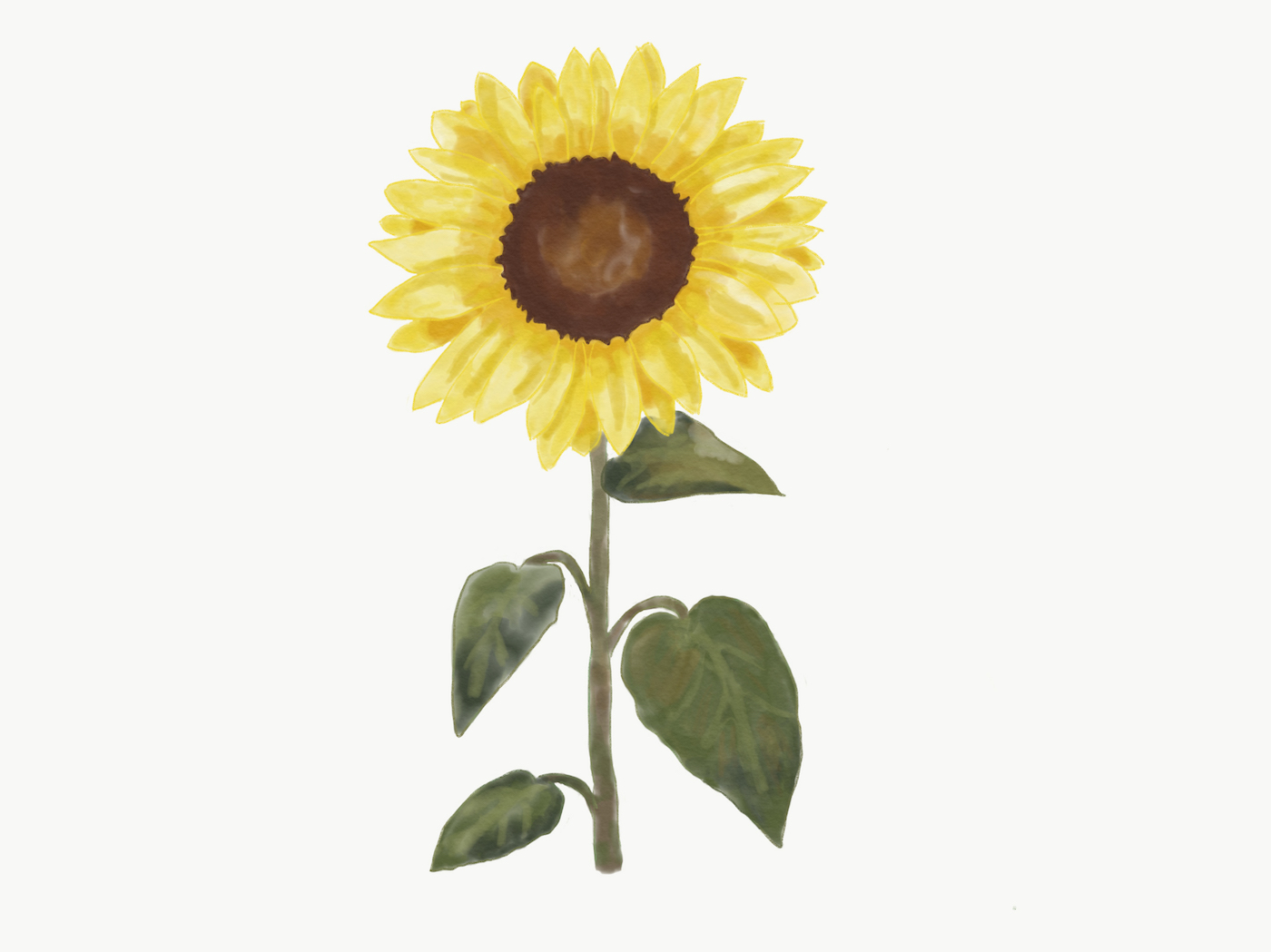 1400x1049 Watercolor Sunflower Angela Seserman Design
