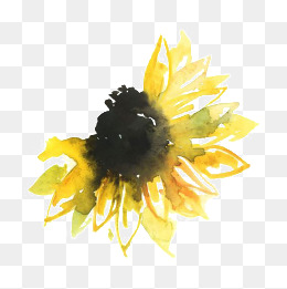 260x261 Watercolor Sunflowers Png, Vectors, Psd, And Clipart For Free