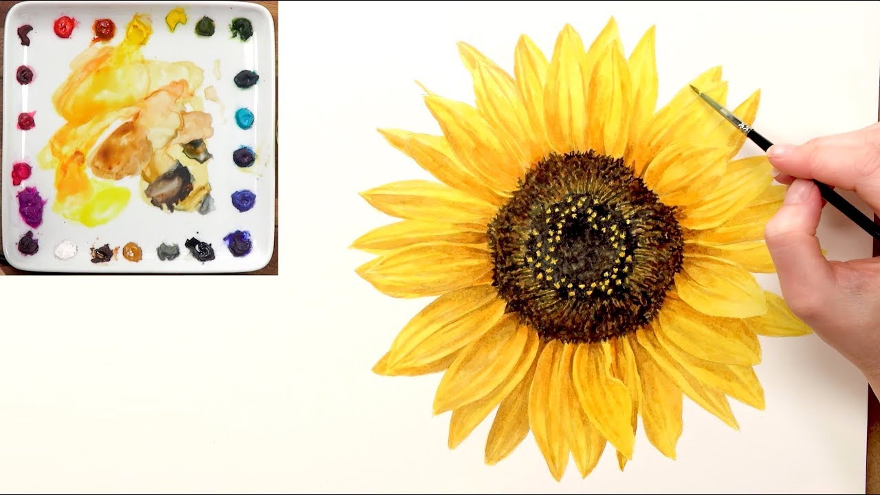 1280x720 How To Paint A Realistic Sunflower In Watercolour With Anna Mason