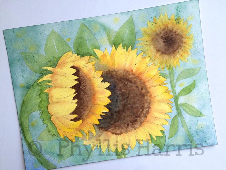 783x588 Original Sunflower Watercolor Painting By Phyllis Harris Phyllis