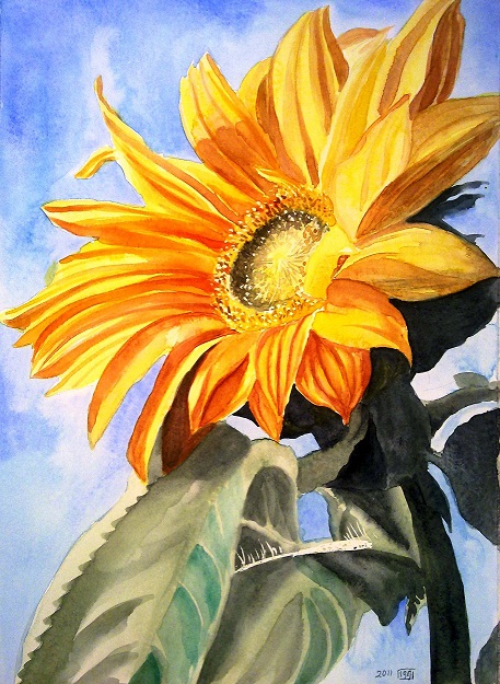 457x625 A Sunflower Watercolor Painting Zeinab1361art