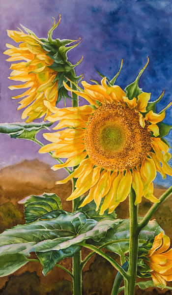 350x600 Watercolor Painting Demonstration Of Sunflowers By Richland, Wa