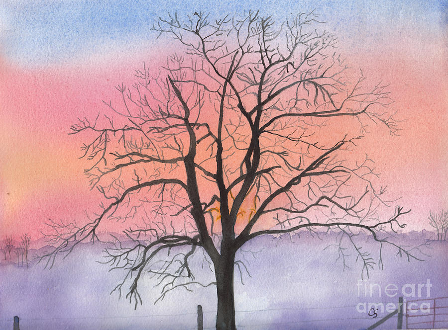 900x664 Sunrise Walnut Tree 2 Watercolor Painting Painting By Conni