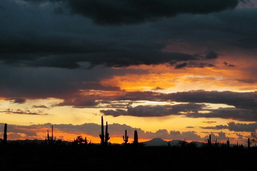 520x346 How To Paint A Watercolor Desert Sunset Hubpages
