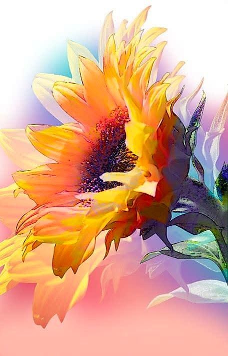 456x711 Let The Sunshine In... Watercolor In 2018 Sunshine