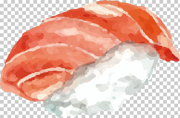 728x478 Sushi Japanese Cuisine Chopsticks Watercolor Painting, Sushi