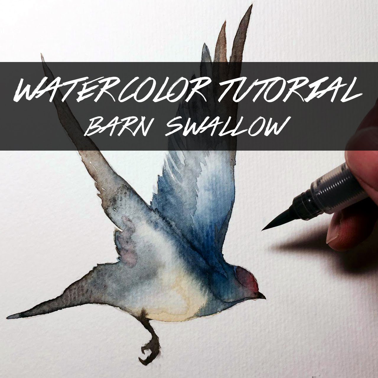1280x1280 Syk Watercolor Tutorial Barn Swallow