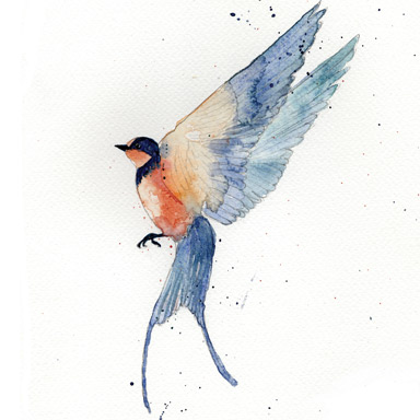 384x384 Swallow Watercolour Illustration