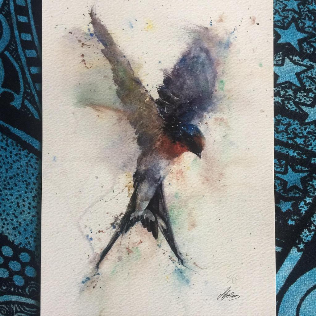 1024x1024 Swallow Watercolour