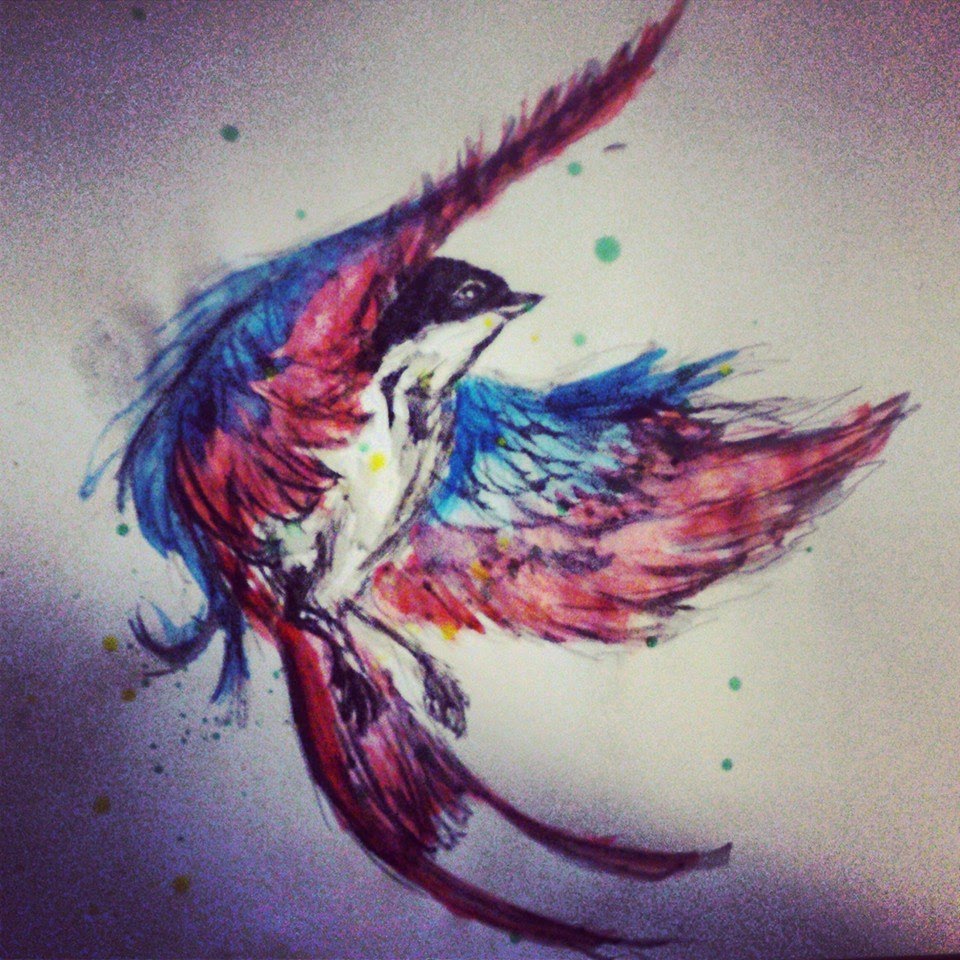 960x960 Swallow Drawing