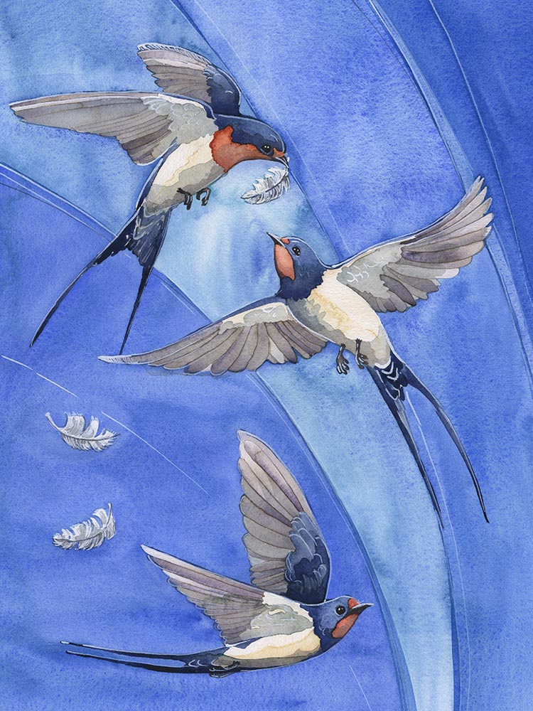750x1000 Barn Swallow Feather Game