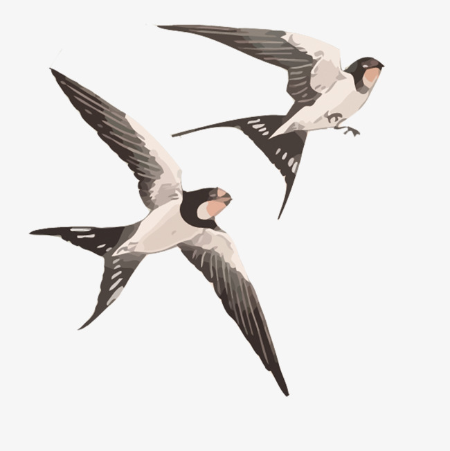650x651 Vector Swallow, Swallow, Birds, Watercolor Png And Vector For Free