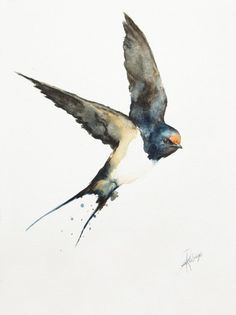 236x315 Image Result For Swallow Bird Watercolor New Tattoo