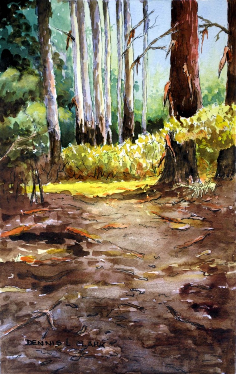 757x1200 How To Paint Bluegum Trees In Forest In Watercolor Online Art