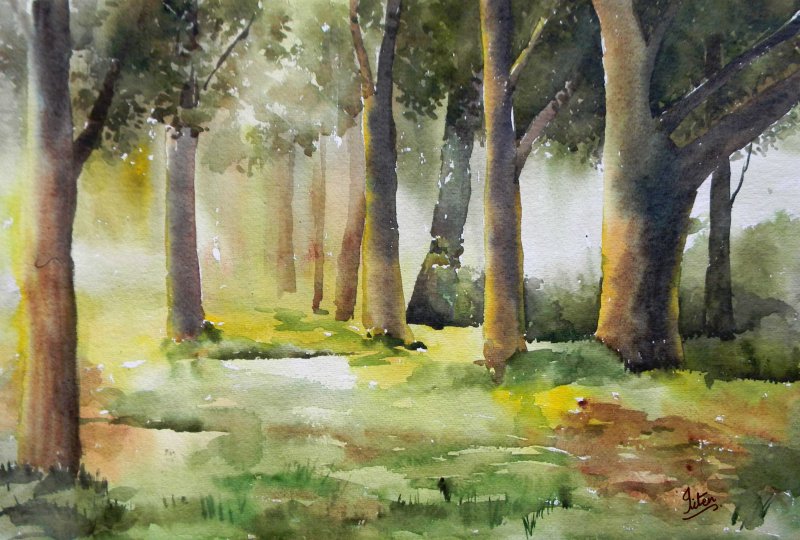 800x540 Morning In Wood By Artist Jitendra Sule Landscape Art