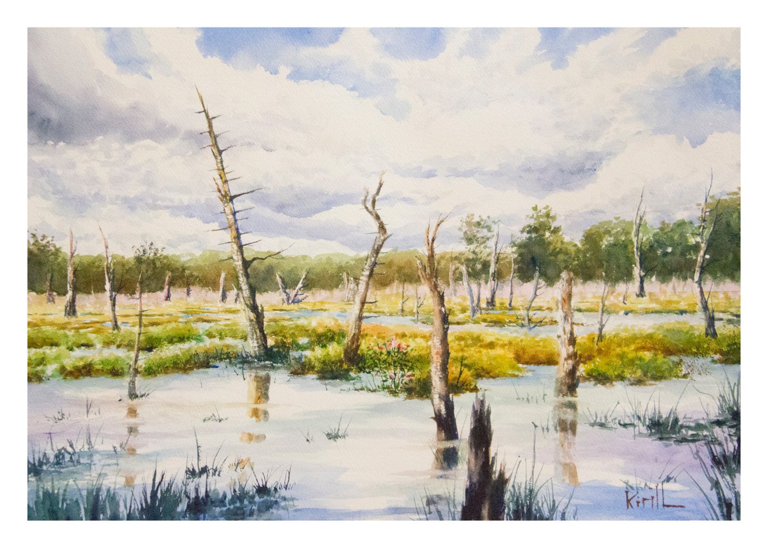 1500x1071 Woodland Swamp Painting Wawayanda State Park Watercolor Wall Etsy