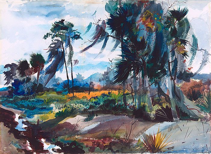 700x513 Huariqueje Florida Swamp