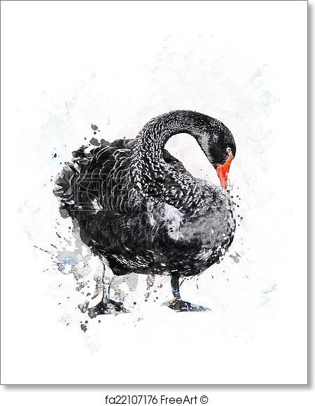 450x580 Free Art Print Of Black Swan.watercolor. Watercolor Digital