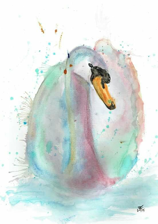 552x783 Pin By Seh5244 On Watercolor Swans, Watercolor And