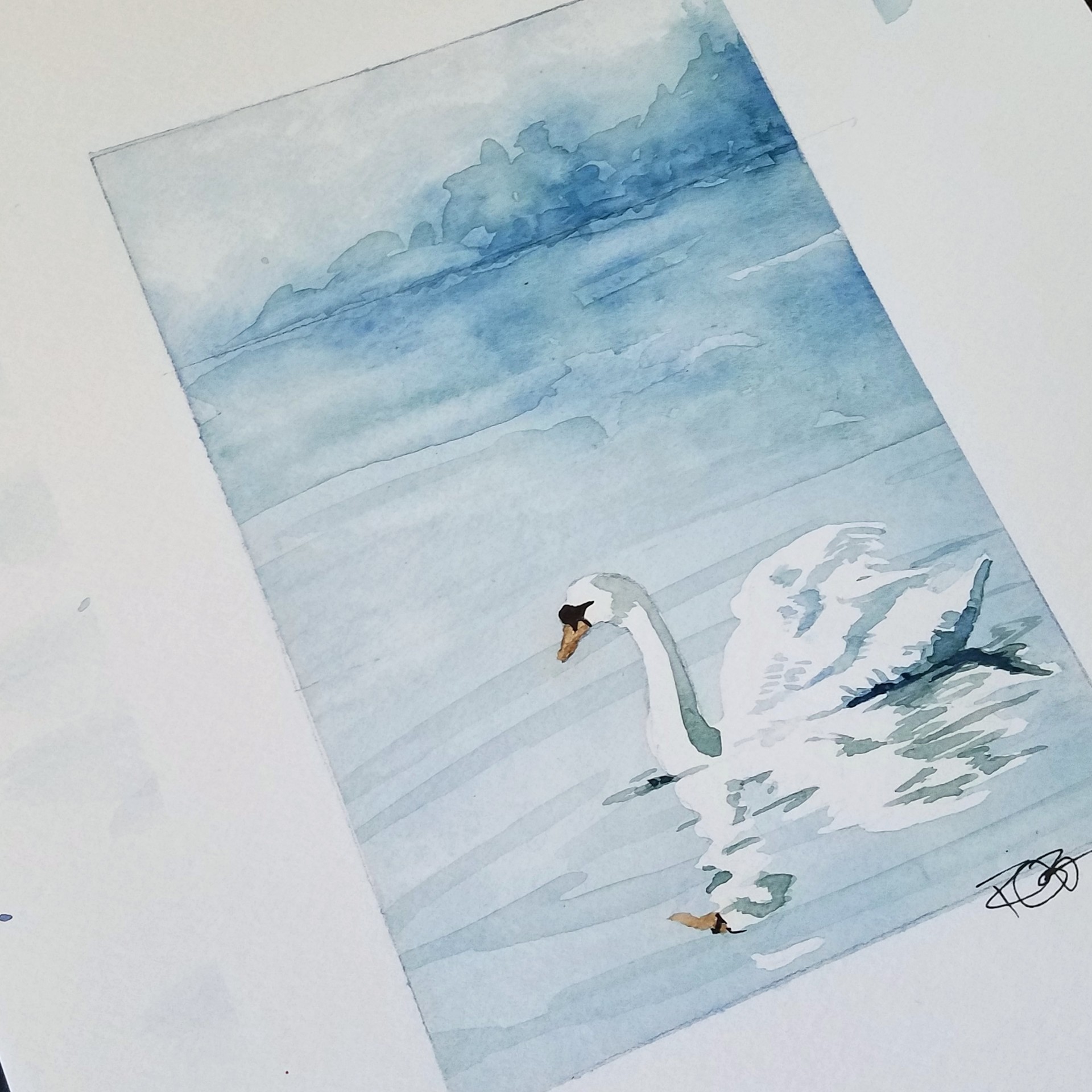 1920x1920 Rick Bravoco