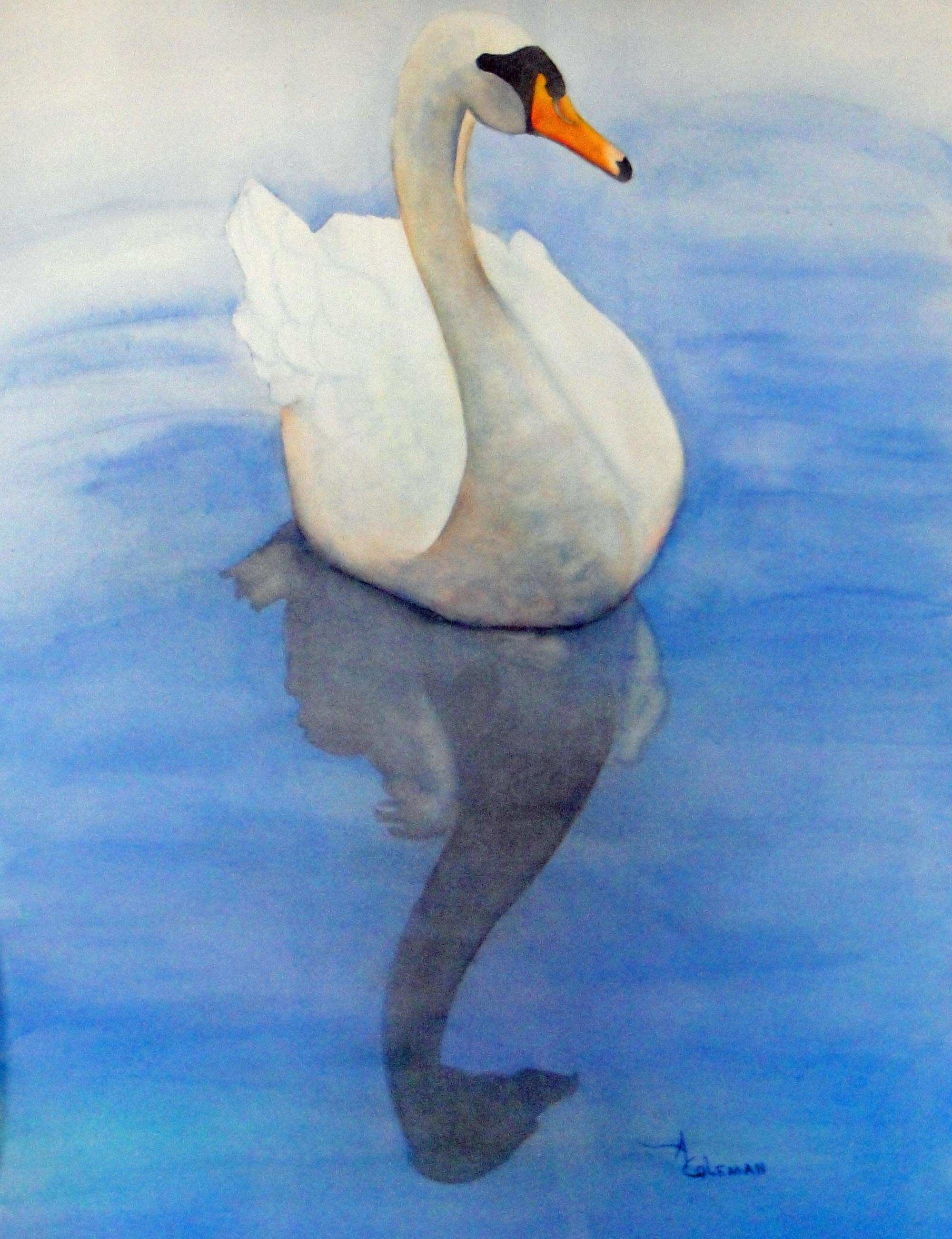 2000x2602 Swan Painting Best Of Watercolors Painting Ideas