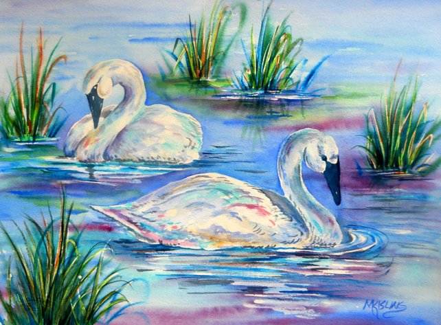 642x473 Swan Watercolor Swan Painting Bird Art Two Swans Blue Etsy